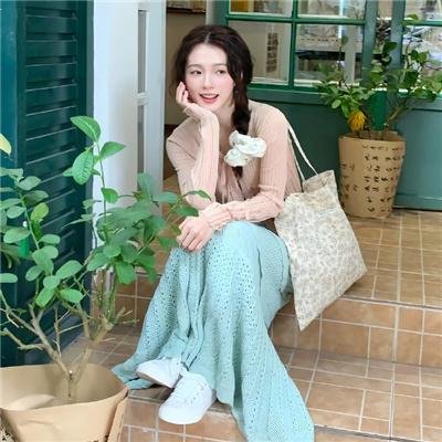 哈利波特：凤凰会的密令